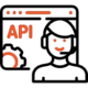 API Maintenance & Support